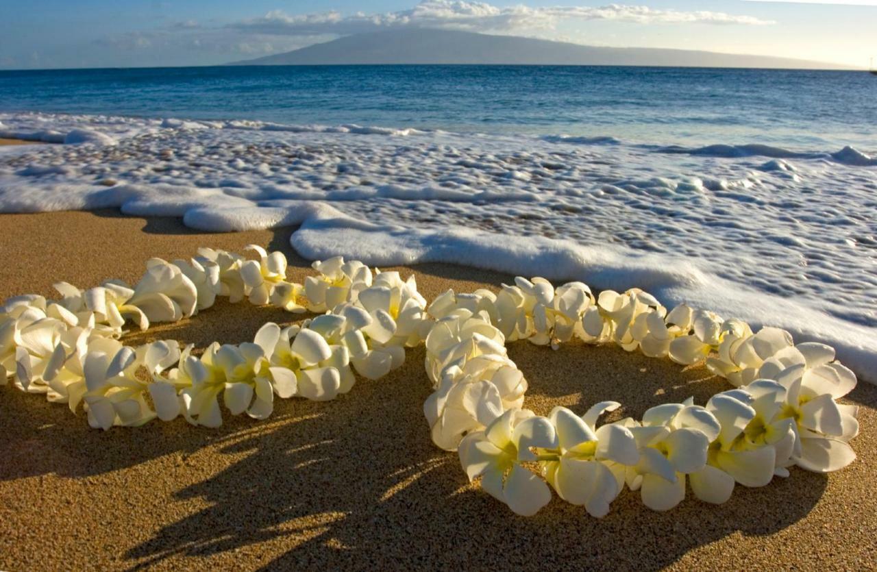 Waikiki Escapade Mountain Views Condo, Steps To Beach With Parking Perk ホノルル エクステリア 写真